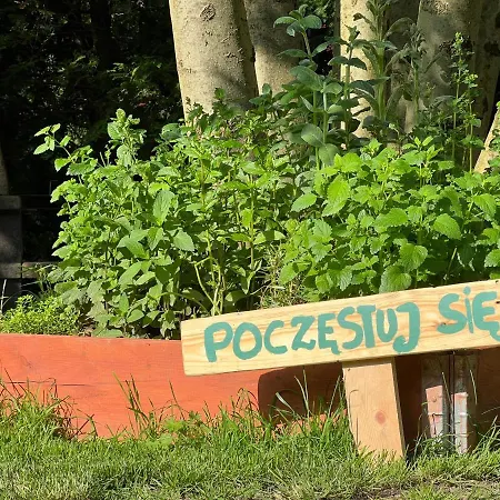Farm stay Przytulne Siedlisko *