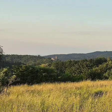 Przytulne Siedlisko Farm stay *