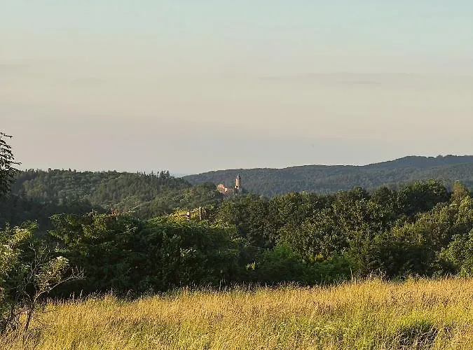 Przytulne Siedlisko Farm stay *